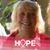 Sandy Moody Gaither's profile image
