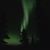 Adelina Cecil's profile image