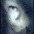 Shanel Stuart's profile image