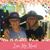 Trish Lewandowski Adkins's profile image