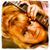 Candy Egan Perri's profile image
