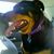 Susie Armstrong's profile image