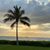 Lesley Bement's profile image