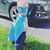 Neisha Alaine's profile image