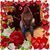 Eleanore Campagna's profile image