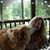 Denise Fleck's profile image