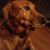 Karen Hobbs's profile image