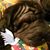 Carol Mullins's profile image