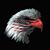 Toni Allen's profile image