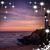 Erica Homan DeMelis's profile image