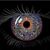 LaLa Laurelle's profile image