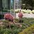 Sherry Webb Schalmo's profile image
