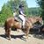 Laura Chittock's profile image