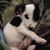 DavidLori Flemming's profile image