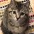 Lois Sargent's profile image
