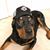 Jay Garby's profile image