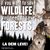 Paula Ilona's profile image