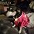 Amber Mutchler Stogdill's profile image