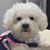 Marlo Gonzales's profile image