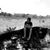 Brooke Haag Limrick's profile image