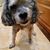 Penny Robinson's profile image
