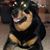 Chantal Burns's profile image