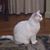 Kathy Warren Cook's profile image