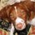 Meg Zuern's profile image