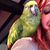 Sebastian Penton Parrot's profile image