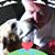 Brenda Sue Young-Lewis's profile image
