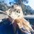 Heather Connors's profile image