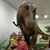 Bobbie Meads Dunn's profile image