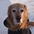 Cathy Gillman's profile image