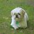 Hank Corbiere's profile image