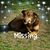 Kimberly G Hurst-Bowne's profile image