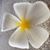 Nancy J Carlson's profile image