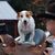 Dit Albritton's profile image