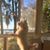Connie Ballengee Atkins's profile image