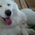 Karen Olson Reynolds's profile image