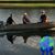 Ron Paetz's profile image