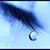 Selina Lawrence-Culbertson's profile image