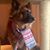 Brandy Haile's profile image