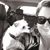 Stacy Nelson's profile image