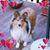Ruth Perrine's profile image
