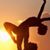 Danza ForFun's profile image