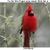 Nancy White Onofrey's profile image