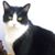 Tim Hill's profile image