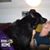 Brad Hagberg's profile image