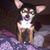 Monica Godinez-Castro's profile image