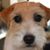 Trina Powell's profile image